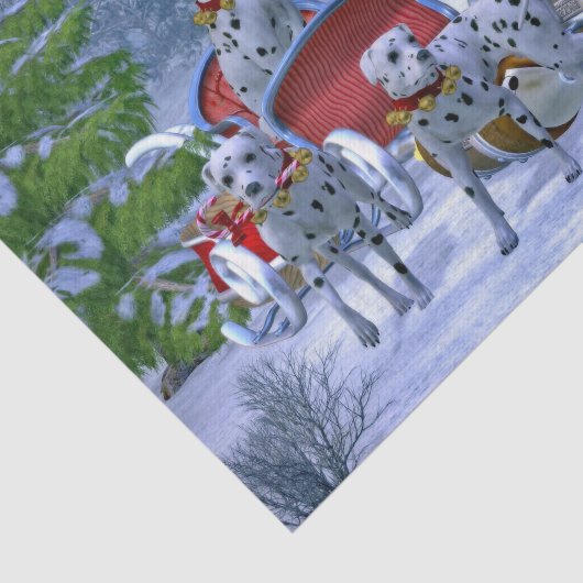  Dalmatische Sneeuwkerst Tissuepapier (Detail)