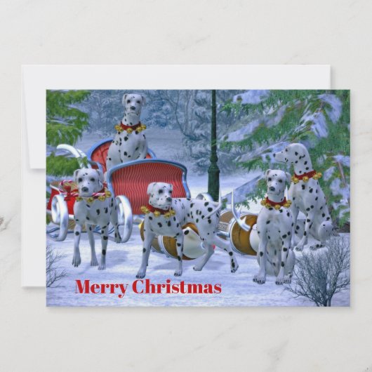  Dalmatische Sneeuwkerstvlakte Feestdagenkaart (Voorkant)