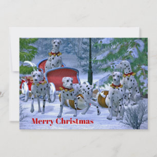 Dalmatische Sneeuwkerstvlakte Feestdagenkaart