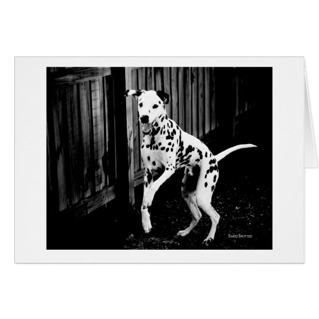 Dalmatische speelkaart (Voorkant Horizontaal)