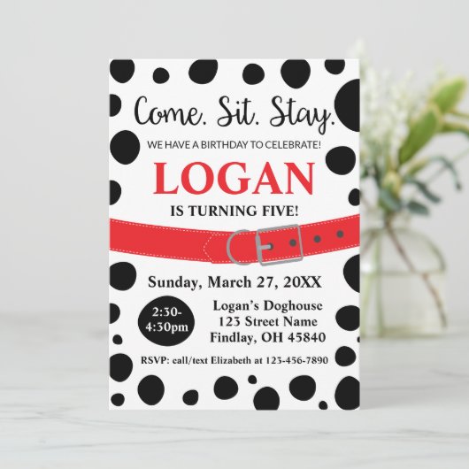 Dalmatische spots komen hier om de volgende dag in kaart (Staand voorkant)