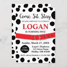 Dalmatische spots komen hier om de volgende dag in kaart