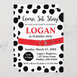 Dalmatische spots komen hier om de volgende dag in kaart