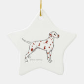 Dalmatische ster — leverspotter keramisch ornament (Voorkant)