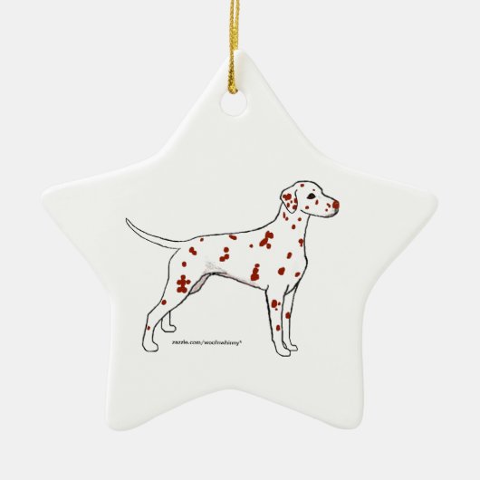 Dalmatische ster — leverspotter keramisch ornament (Voorkant)