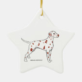 Dalmatische ster — leverspotter keramisch ornament (Achterkant)