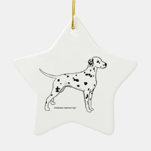 Dalmatische ster — zwart-gepoot keramisch ornament