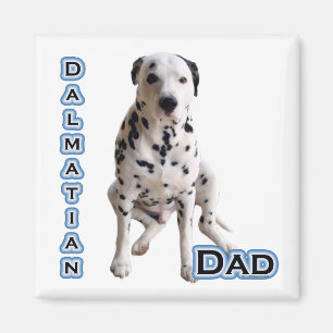 Dalmatische Vader 4 - Magneet