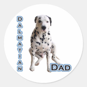 Dalmatische vader 4 - Sticker