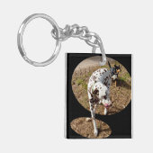 Dalmatische verlichtingsvensterkunst; sleutelhanger (Voorkant Links)