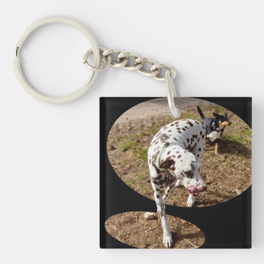 Dalmatische verlichtingsvensterkunst; sleutelhanger (Voorkant)