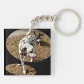 Dalmatische verlichtingsvensterkunst; sleutelhanger (Achterkant)