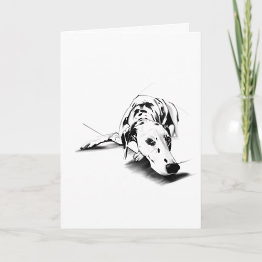 Dalmatische Wenskaart – Handgetekend Kaart (Voorkant)
