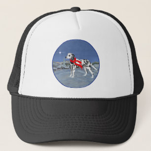 Dalmatische Winter Nacht Trucker Pet