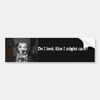 Dalmatische zorg bumpersticker