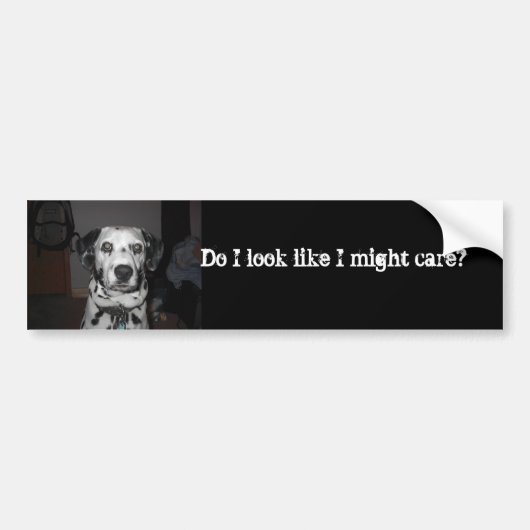 Dalmatische zorg bumpersticker (Voorkant)