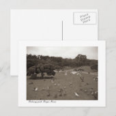 Dalseong Park, Daegu, briefkaart Zuid-Korea (Voorkant / Achterkant)