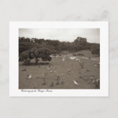 Dalseong Park, Daegu, briefkaart Zuid-Korea (Voorkant)