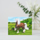 Dalton Briefkaart (Staand voorkant)