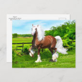 Dalton Briefkaart (Voorkant / Achterkant)