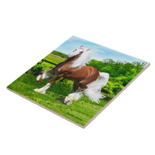 Dalton Tegeltje (Zijkant)