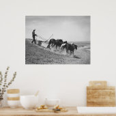 Dam Building: 1936 Poster (Keuken)