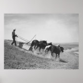 Dam Building: 1936 Poster (Voorkant)