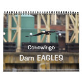 Dam Eagles Kalender (Hoes)
