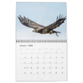 Dam Eagles Kalender (Jan 2026)