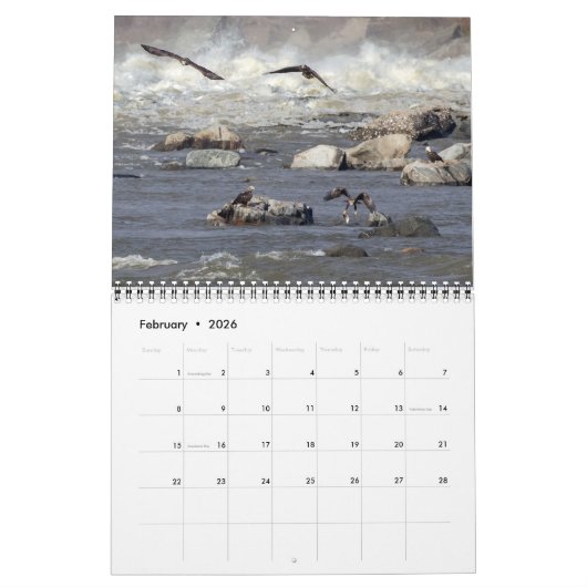 Dam Eagles Kalender (Feb 2026)