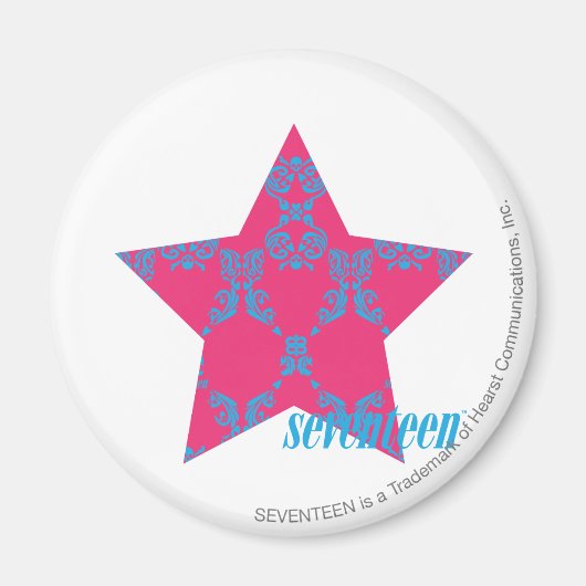 Damask Aqua-Magenta 2 Magneet (Voorkant)