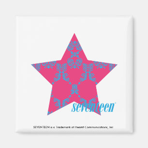 Damask Aqua-Magenta 2 Magneet