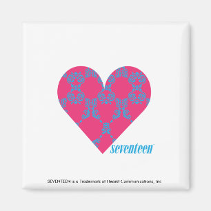 Damask Aqua-Magenta 4 Magneet