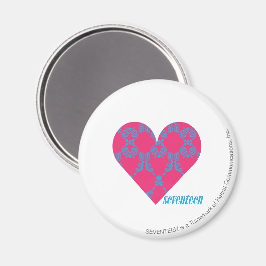 Damask Aqua-Magenta 4 Magneet (Voorkant / Achterkant)