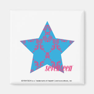 Damask Magenta-Aqua 2 Magneet