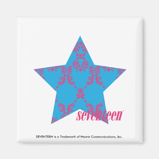 Damask Magenta-Aqua 2 Magneet (Voorkant)