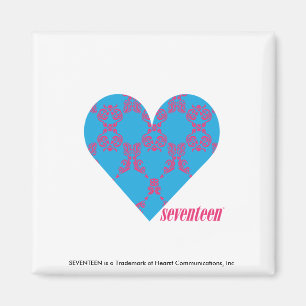 Damask Magenta-Aqua 3 Magneet