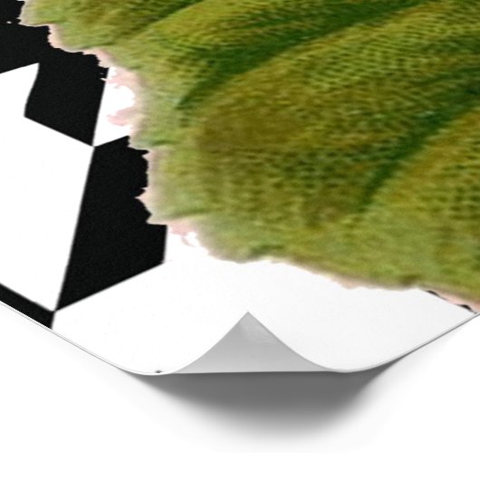 Damask Pattern Floral Decor Love Life Poster (Hoek)