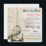 Damask Peacock Bird Cage Wedding Save the Date<br><div class="desc">Meer vogelkooien</div>