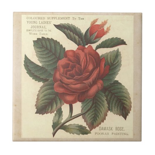  Damask Red Rose Tile/Trivet Tegeltje (Voorkant)