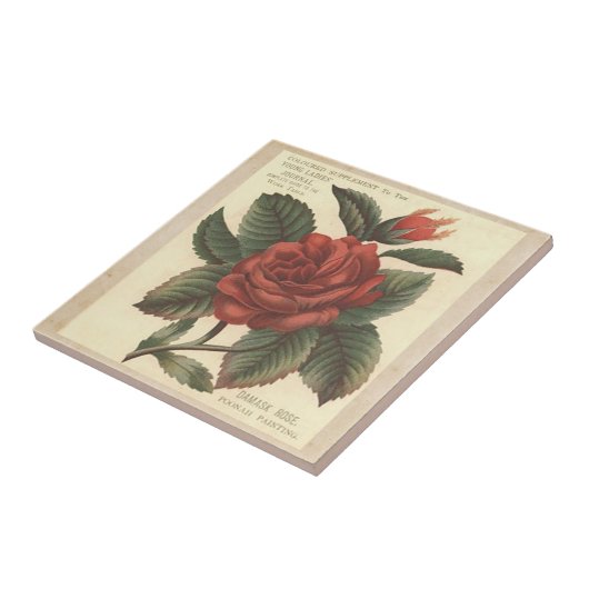  Damask Red Rose Tile/Trivet Tegeltje (Zijkant)