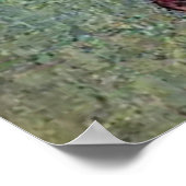 Damayanti en de Swan Poster (Hoek)