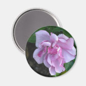  dame 092 magneet (Voorkant / Achterkant)