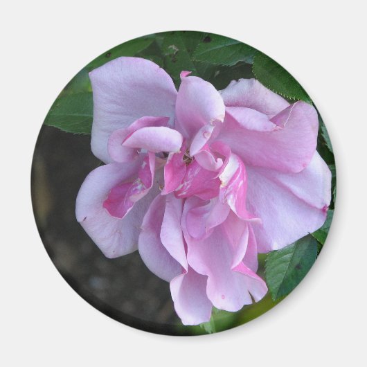  dame 092 magneet (Voorkant)