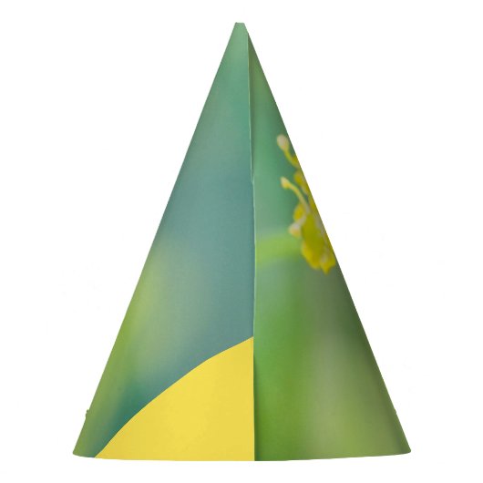 dame bovenaan feesthoedjes (Achterkant)