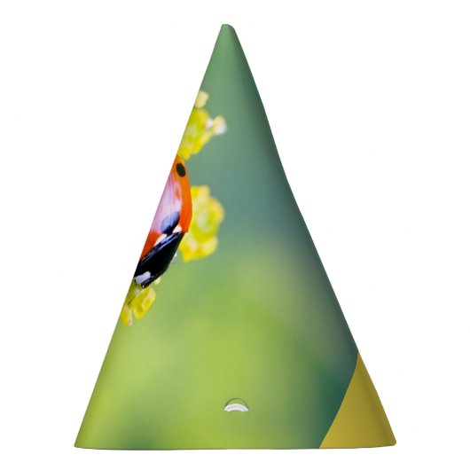 dame bovenaan feesthoedjes (Rechts)