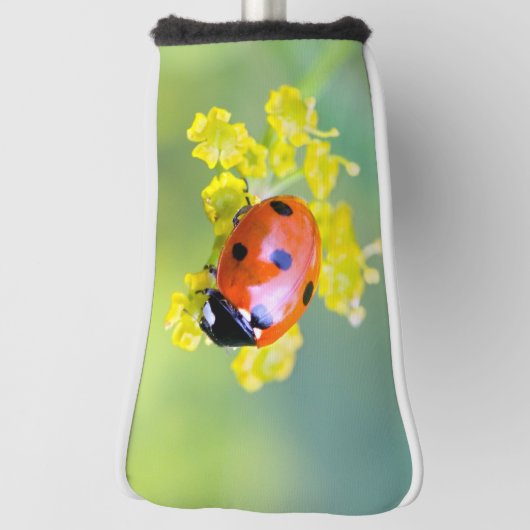 dame bovenaan golfheadcover (Draai 90)