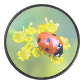 dame bovenaan hockey puck (Voorkant)