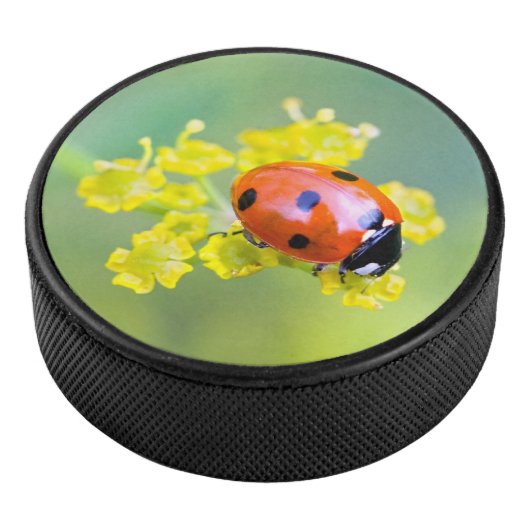 dame bovenaan hockey puck (3/4)