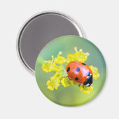 dame bovenaan magneet (Voorkant / Achterkant)